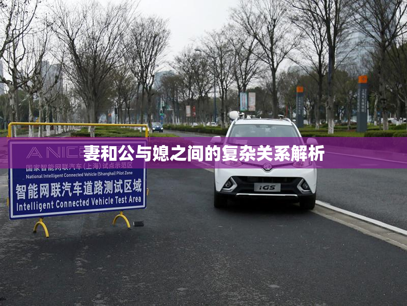 妻和公与媳之间的复杂关系解析