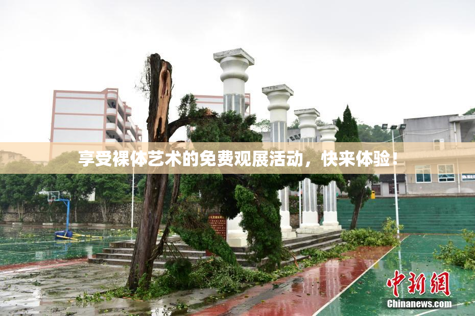 享受裸体艺术的免费观展活动，快来体验！