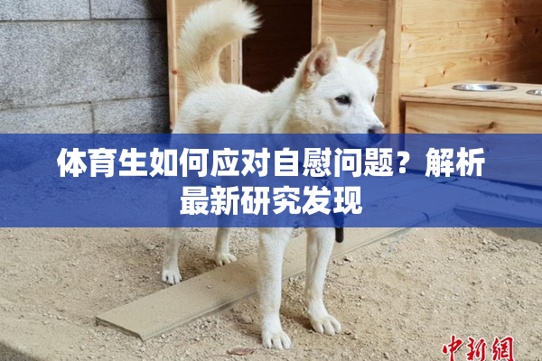 体育生如何应对自慰问题？解析最新研究发现