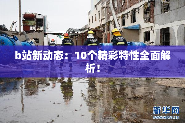 b站新动态：10个精彩特性全面解析！