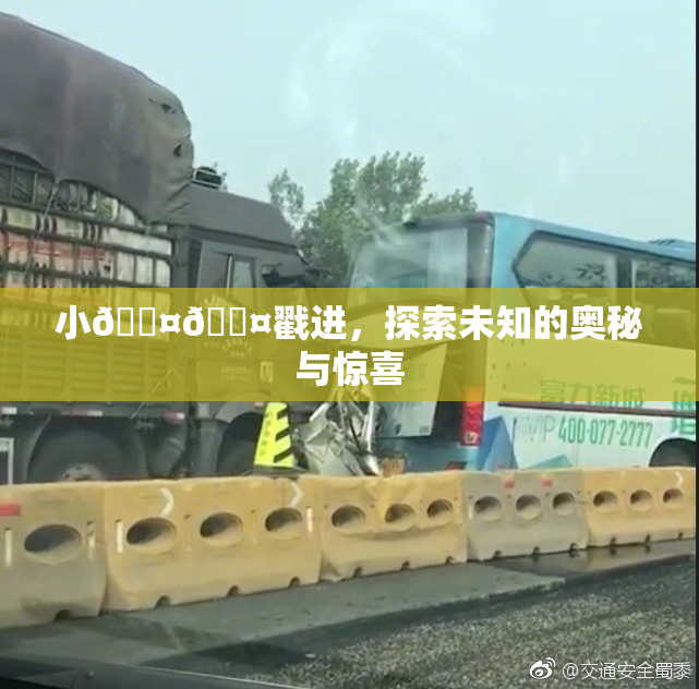 小🐤🐤戳进，探索未知的奥秘与惊喜