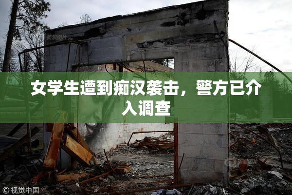 女学生遭到痴汉袭击，警方已介入调查