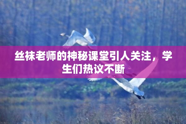 丝袜老师的神秘课堂引人关注，学生们热议不断