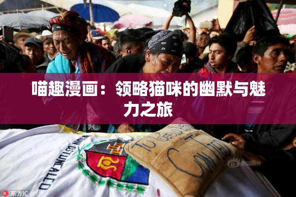 喵趣漫画：领略猫咪的幽默与魅力之旅
