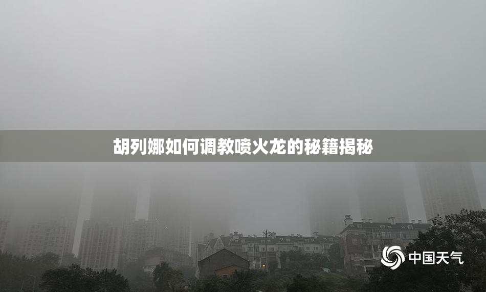 胡列娜如何调教喷火龙的秘籍揭秘