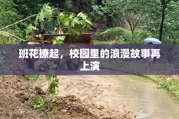 班花撩起，校园里的浪漫故事再上演