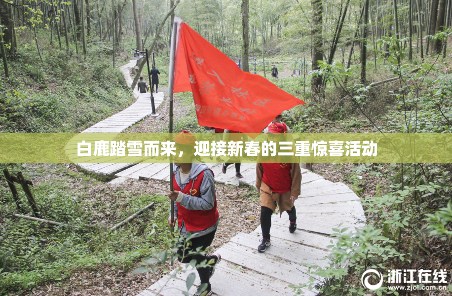 白鹿踏雪而来，迎接新春的三重惊喜活动