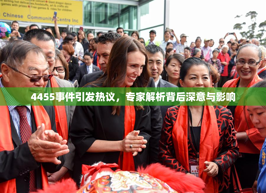 4455事件引发热议，专家解析背后深意与影响