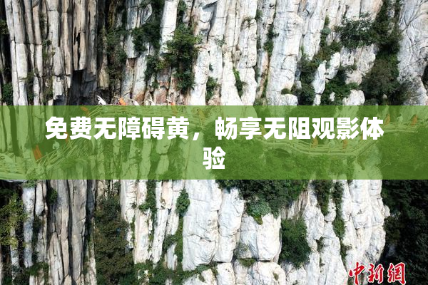 免费无障碍黄，畅享无阻观影体验
