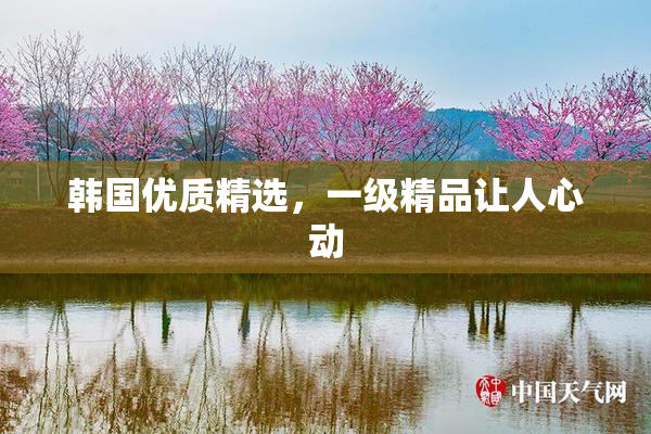 韩国优质精选，一级精品让人心动