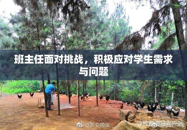 班主任面对挑战，积极应对学生需求与问题