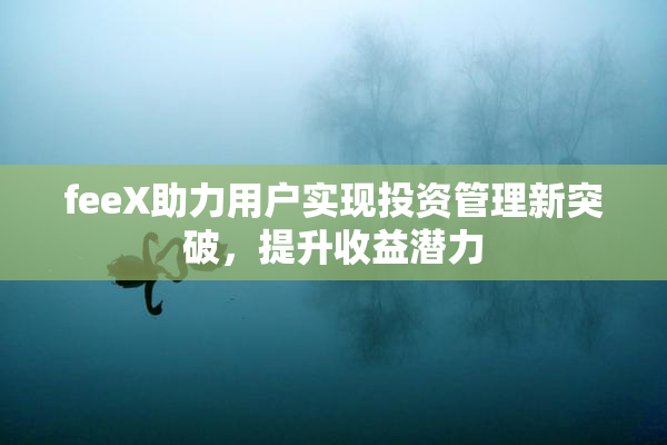 feeX助力用户实现投资管理新突破，提升收益潜力