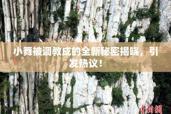 小舞被调教成的全新秘密揭晓，引发热议！