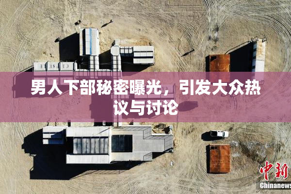 男人下部秘密曝光，引发大众热议与讨论
