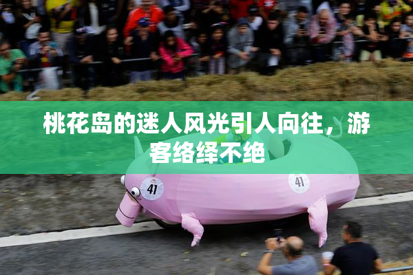 桃花岛的迷人风光引人向往，游客络绎不绝