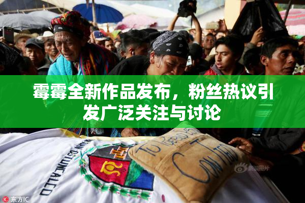 霉霉全新作品发布，粉丝热议引发广泛关注与讨论