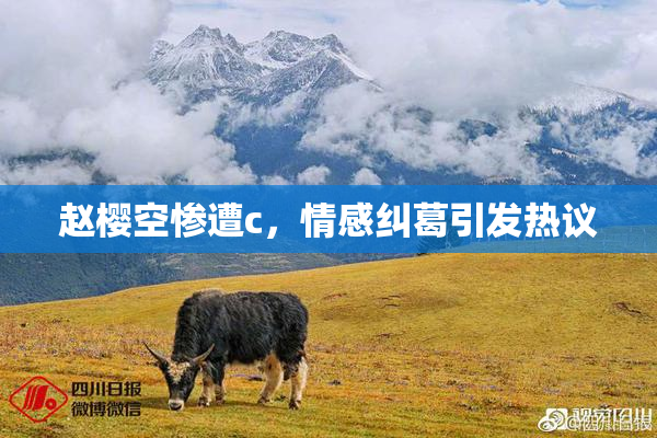 赵樱空惨遭c，情感纠葛引发热议