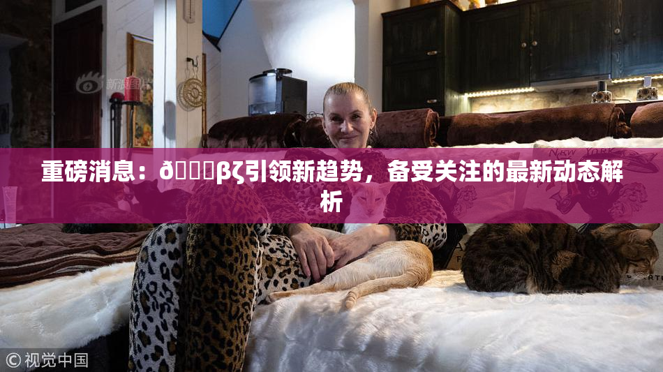 重磅消息：👙βζ引领新趋势，备受关注的最新动态解析