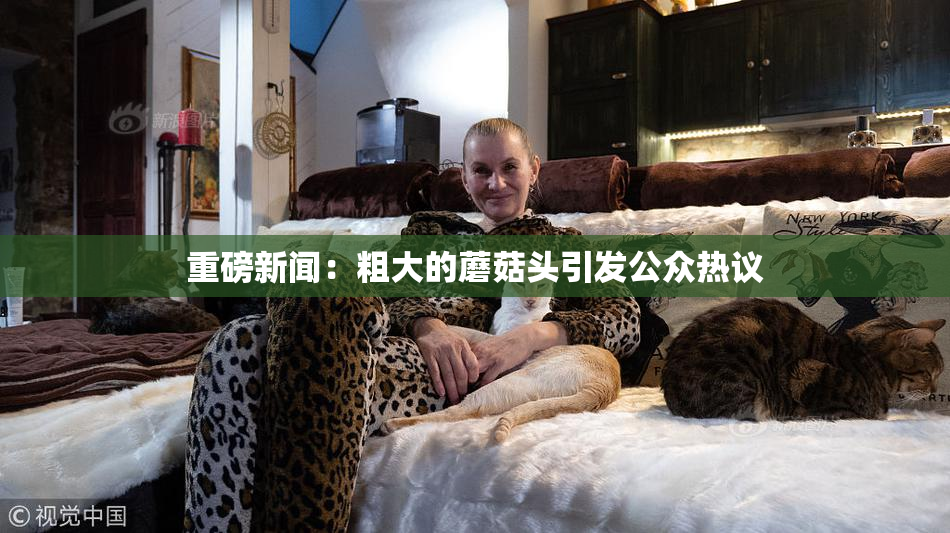 重磅新闻：粗大的蘑菇头引发公众热议