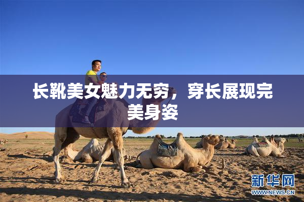 长靴美女魅力无穷，穿长展现完美身姿