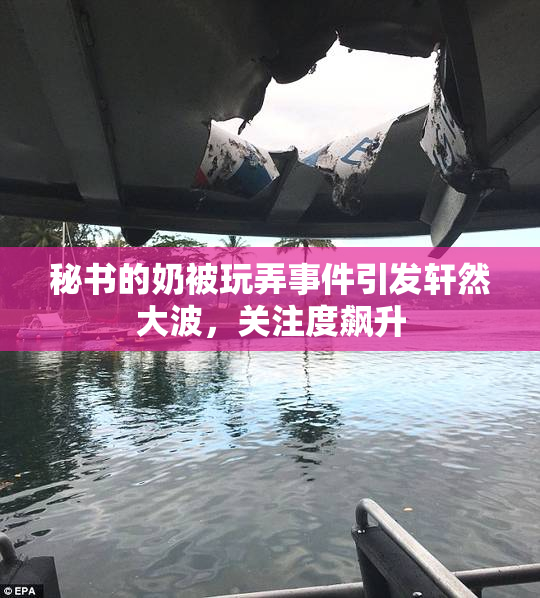 秘书的奶被玩弄事件引发轩然大波，关注度飙升