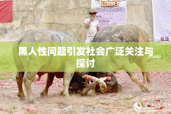 黑人性问题引发社会广泛关注与探讨