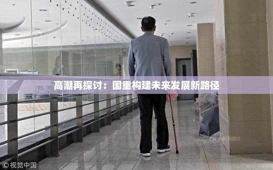 高潮再探讨：国重构建未来发展新路径