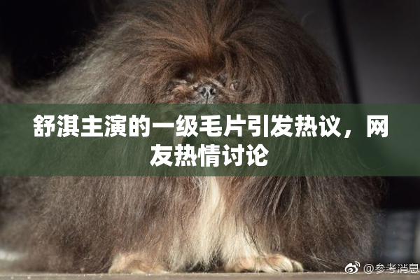 舒淇主演的一级毛片引发热议，网友热情讨论