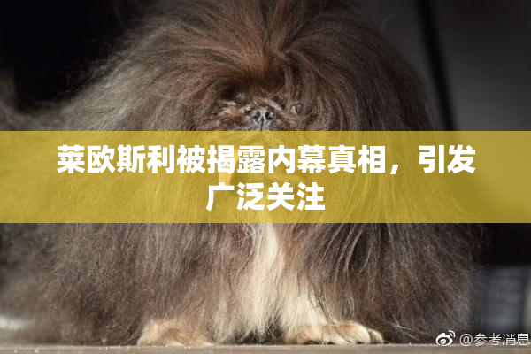 莱欧斯利被揭露内幕真相，引发广泛关注