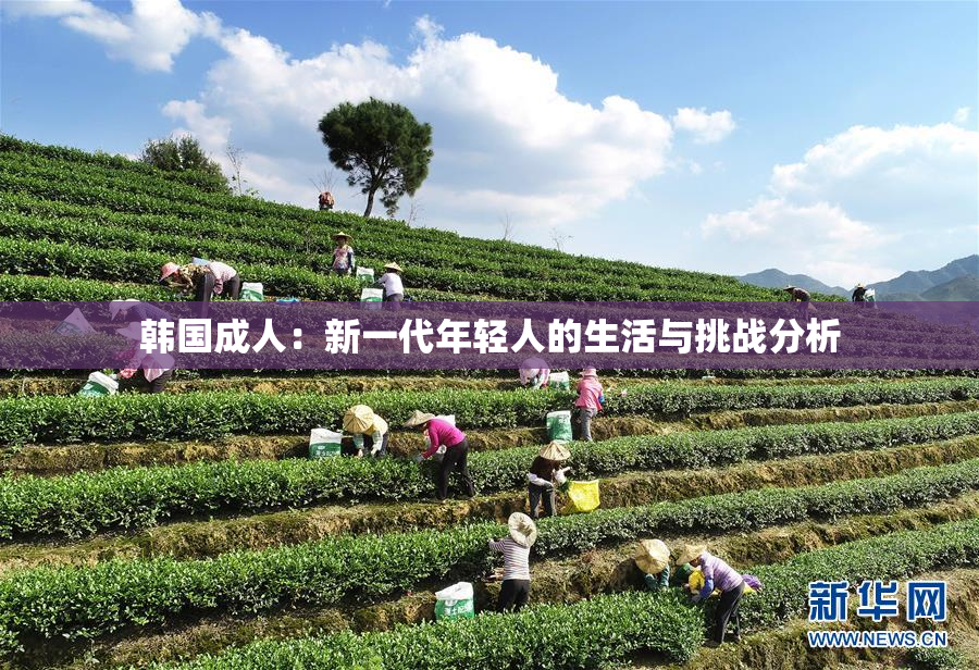 韩国成人：新一代年轻人的生活与挑战分析