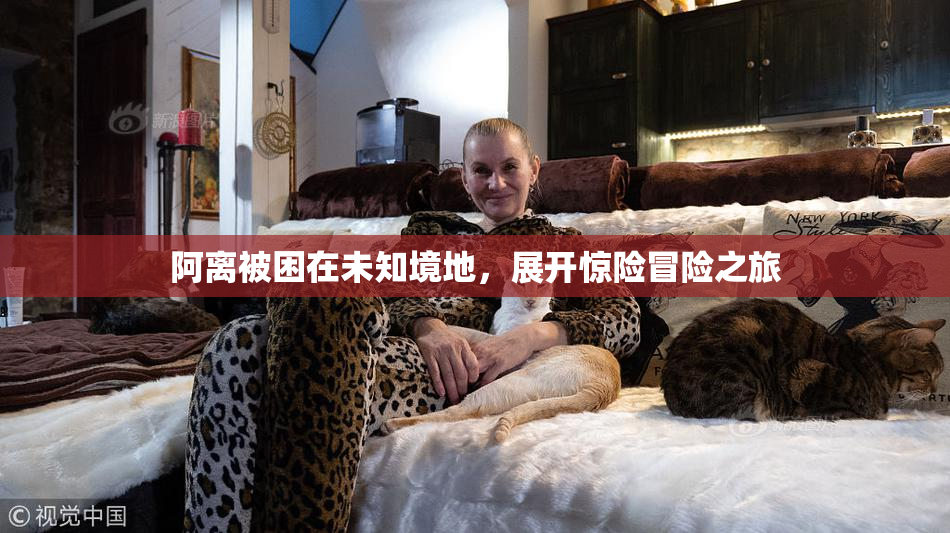 阿离被困在未知境地，展开惊险冒险之旅