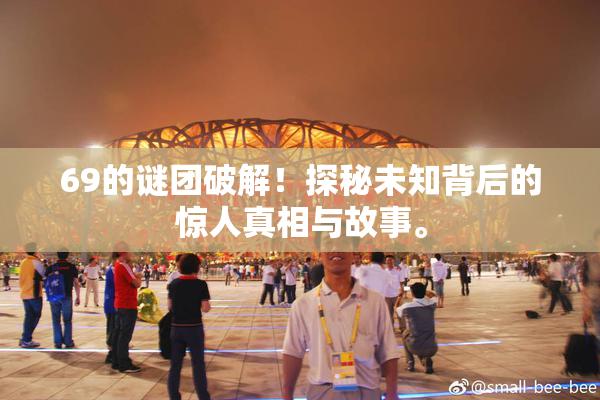 69的谜团破解！探秘未知背后的惊人真相与故事。
