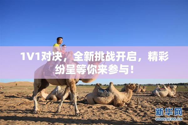 1V1对决，全新挑战开启，精彩纷呈等你来参与！