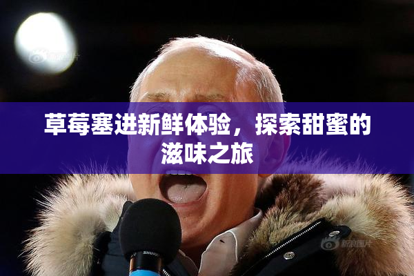草莓塞进新鲜体验，探索甜蜜的滋味之旅