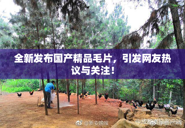 全新发布国产精品毛片，引发网友热议与关注！