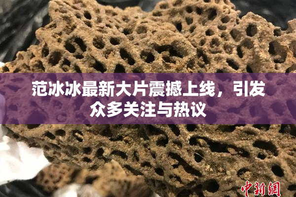 范冰冰最新大片震撼上线，引发众多关注与热议