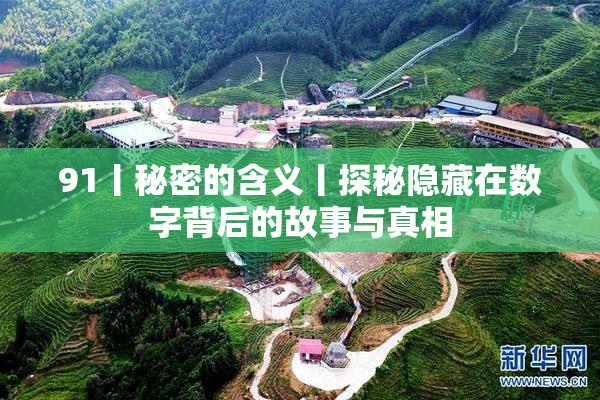 91丨秘密的含义丨探秘隐藏在数字背后的故事与真相
