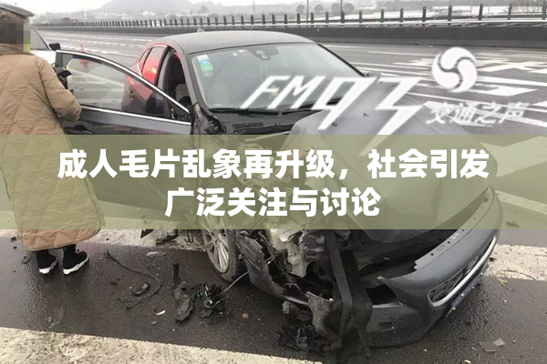 成人毛片乱象再升级，社会引发广泛关注与讨论