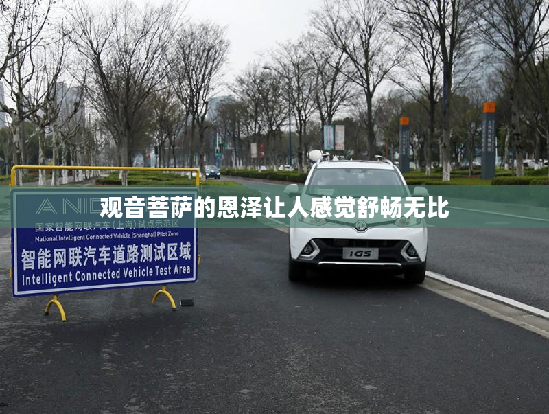 观音菩萨的恩泽让人感觉舒畅无比