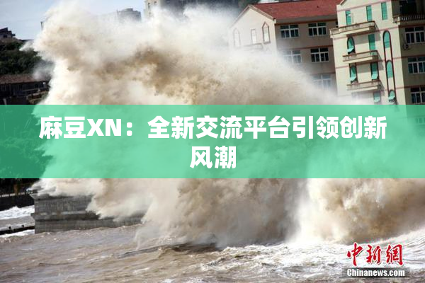 麻豆XN：全新交流平台引领创新风潮