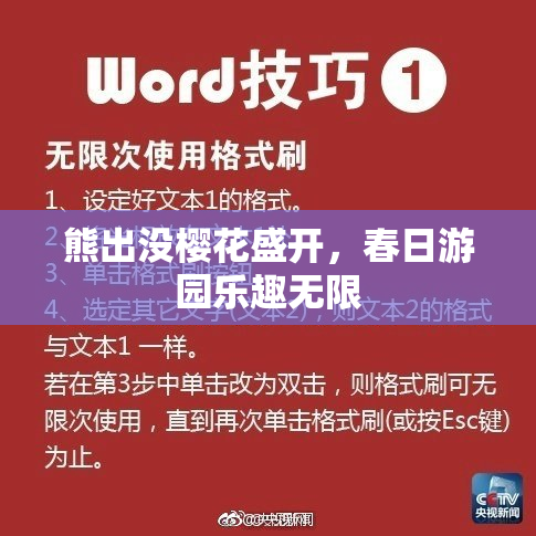 熊出没樱花盛开，春日游园乐趣无限