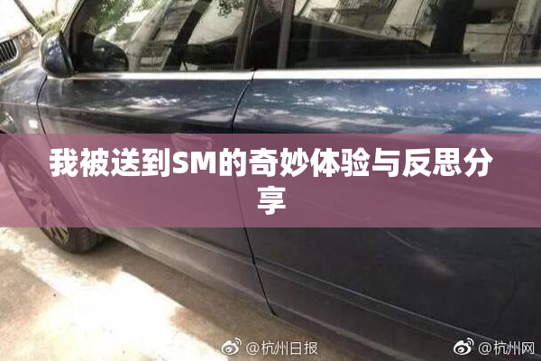 我被送到SM的奇妙体验与反思分享