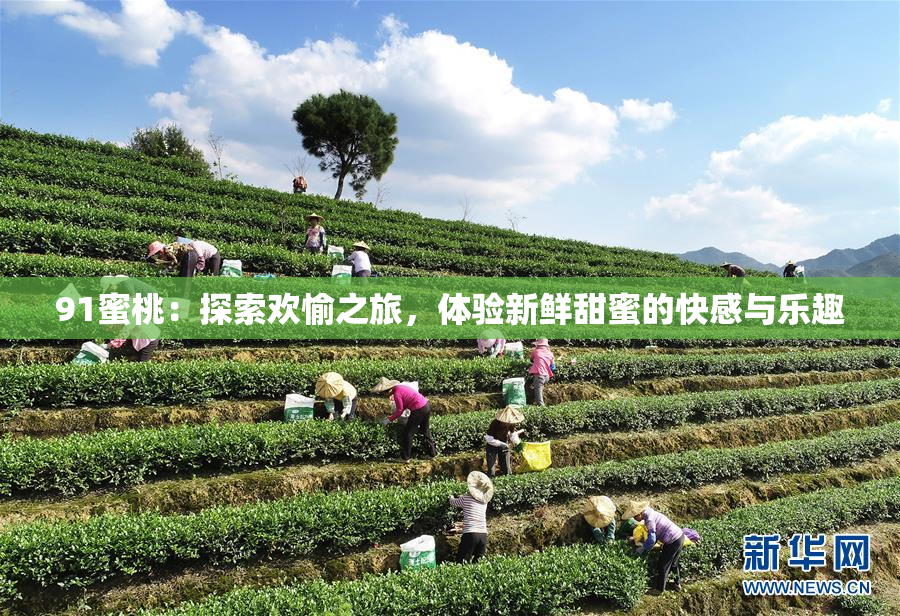 91蜜桃：探索欢愉之旅，体验新鲜甜蜜的快感与乐趣