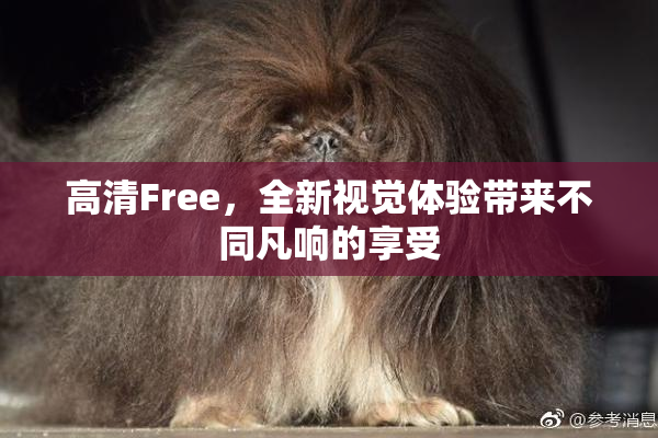 高清Free，全新视觉体验带来不同凡响的享受