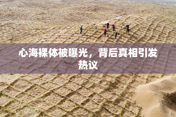 心海裸体被曝光，背后真相引发热议