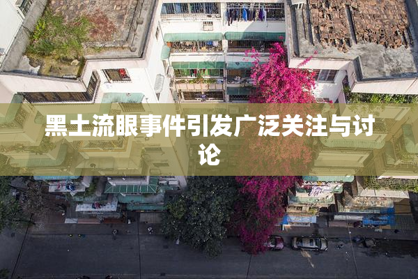 黑土流眼事件引发广泛关注与讨论