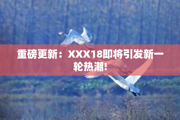 重磅更新：XXX18即将引发新一轮热潮!