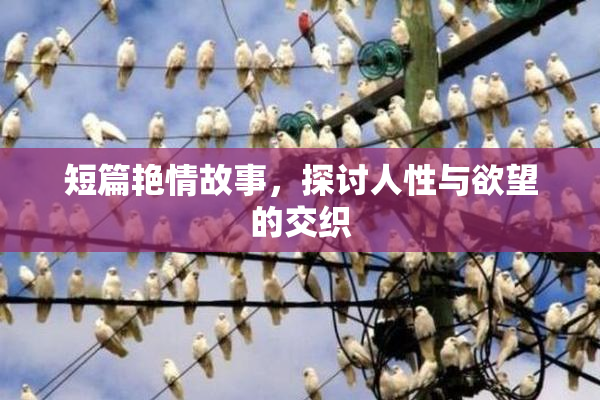 短篇艳情故事，探讨人性与欲望的交织