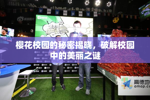 樱花校园的秘密揭晓，破解校园中的美丽之谜