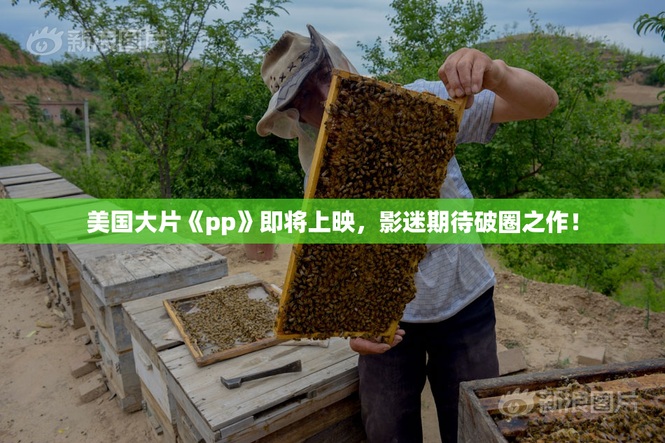 美国大片《pp》即将上映，影迷期待破圈之作！